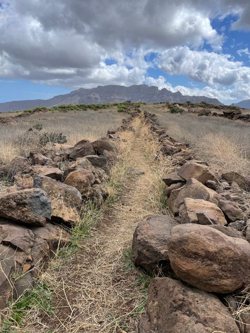 Bicicleta BMC vs Cannondale (Shimano Sora): Qual Escolher Em 2026?